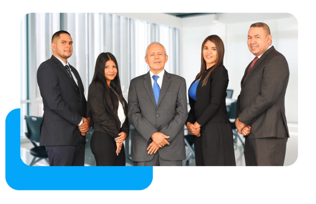 Experiencia profesional